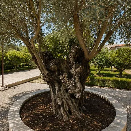 度假居 Vaiana Near Eretria Magoula (Evia)